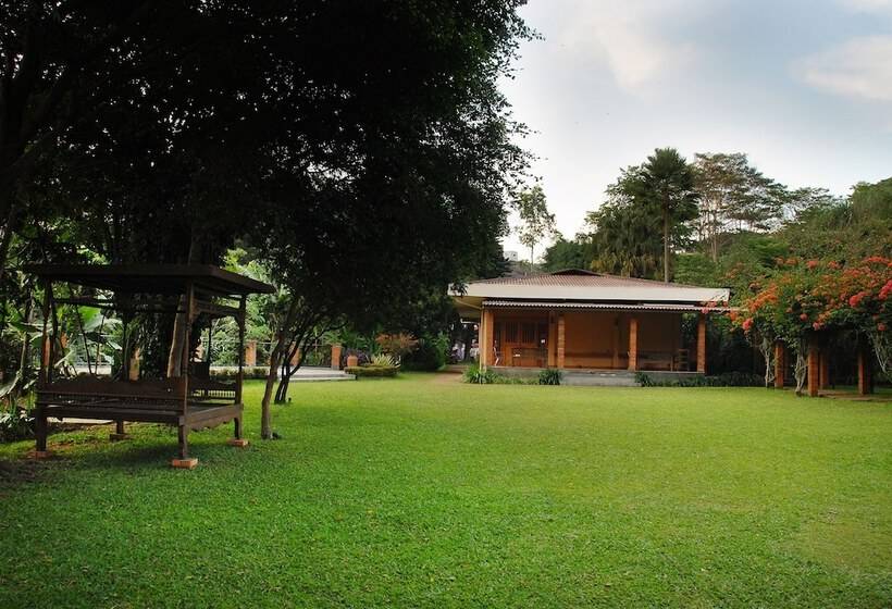 Fotos del hotel The Cipaku Garden:  14