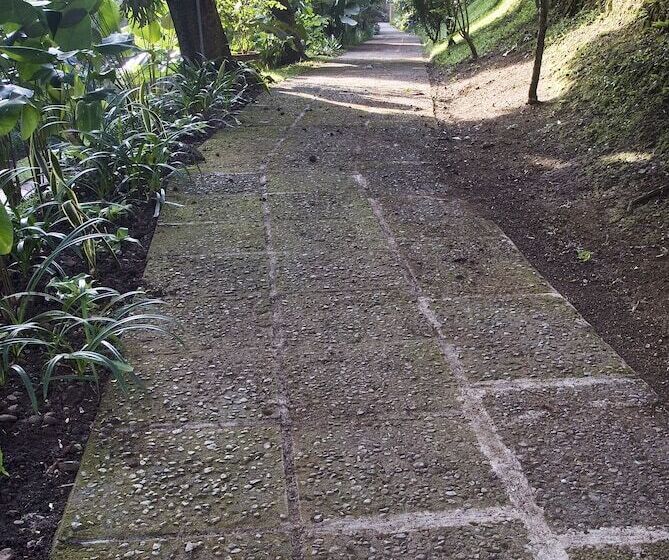 Fotos del hotel The Cipaku Garden:  19