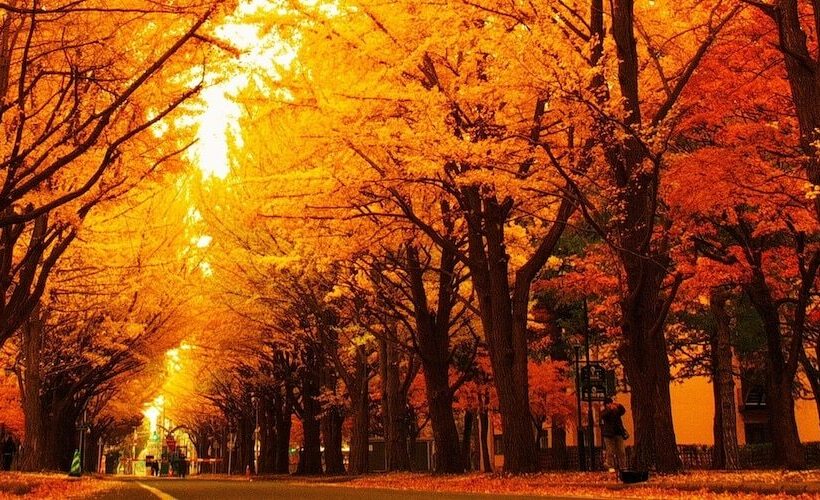هتل Tokyu Stay Sapporo