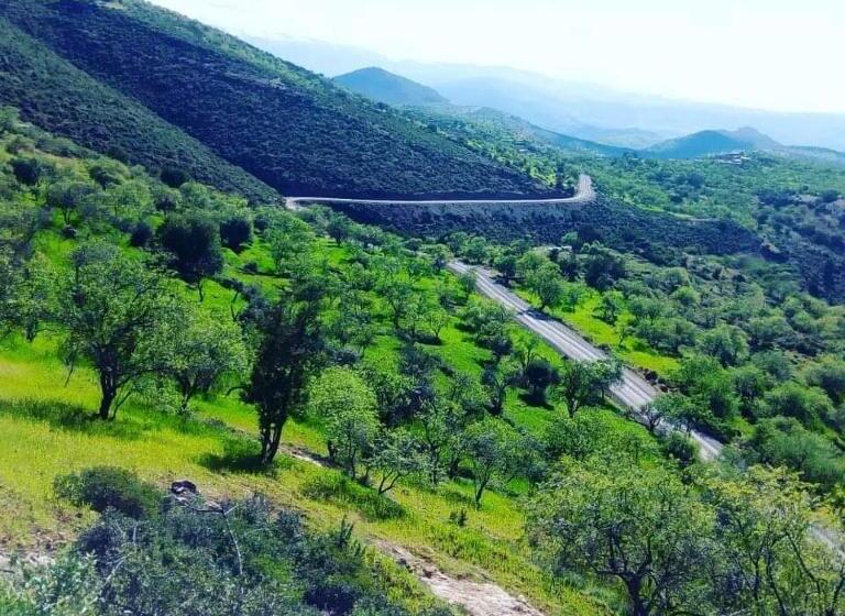 بنسيون Dar Assounfou