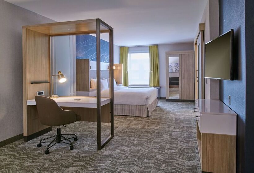 هتل Springhill Suites By Marriott Detroit Dearborn