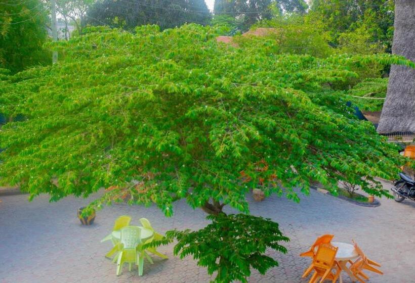 تختخواب و صبحانه Flamingo Hotel Kinyerezi