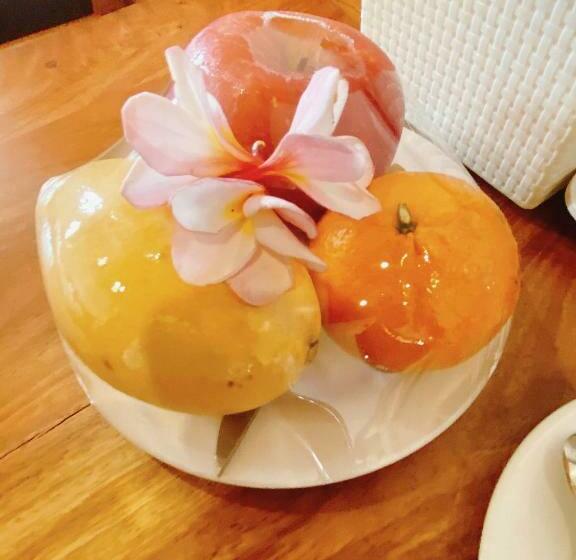 בית מלון כפרי Opera Premier