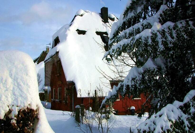 بنسيون Haus Am Tannenhain