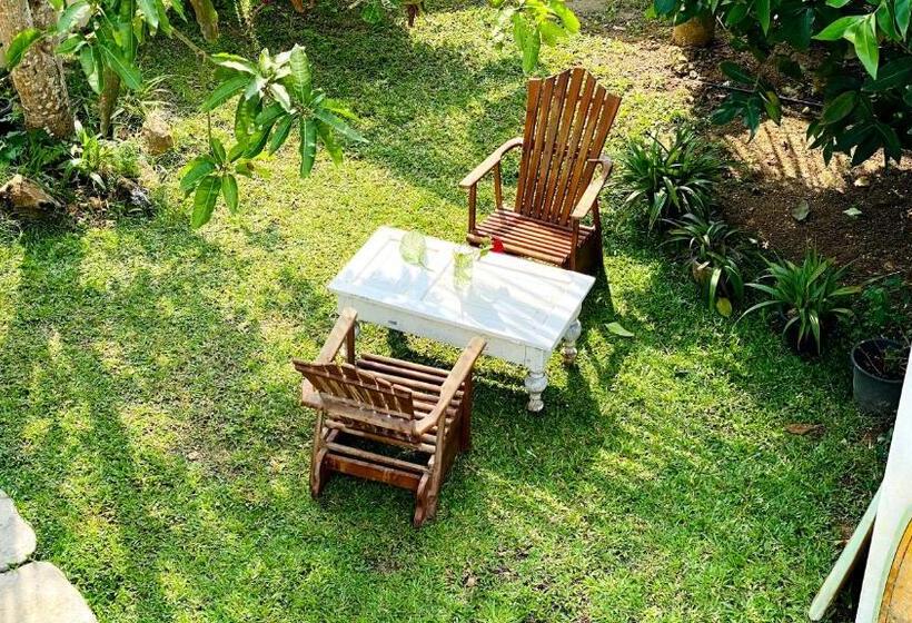 پانسیون Madiha Surf House Lanka