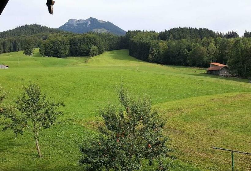 Отель Maria Schnitzenbaumer