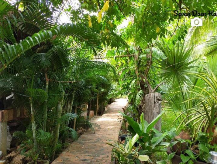 پانسیون Sala Thongyon   Guest House