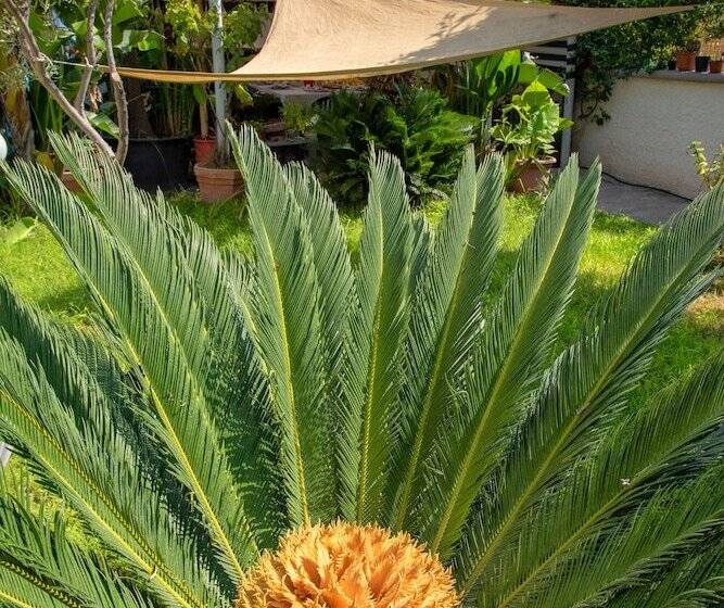 تختخواب و صبحانه Maison Twentyfive
