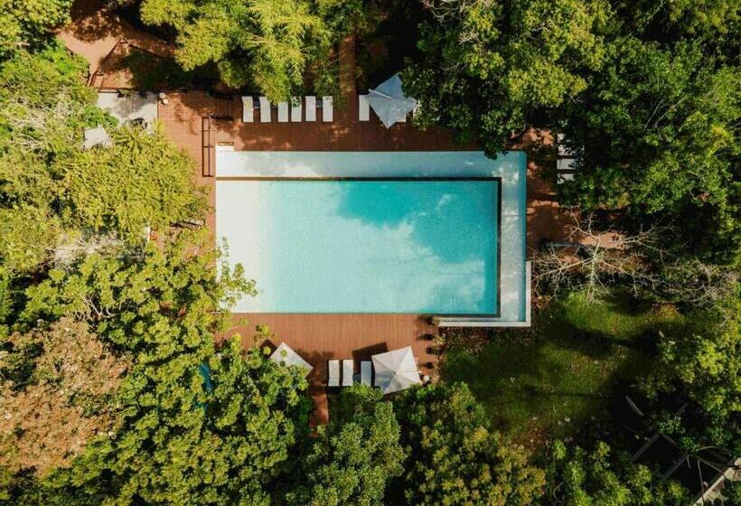 Mercure Iguazu Hotel Iru