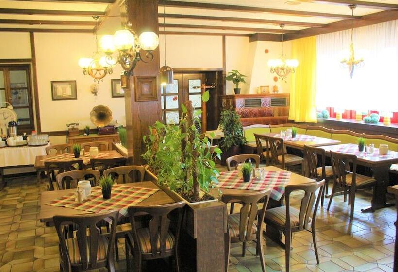 هتل Simonis Koblenz