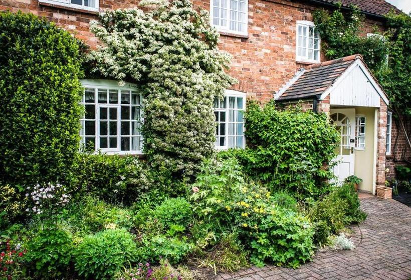 هتل The Cottage