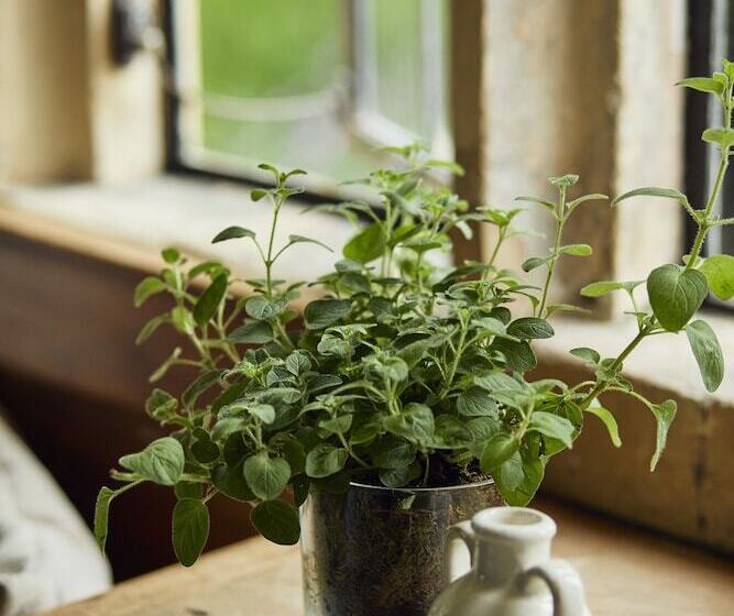 ホテル The Slaughters Country Inn