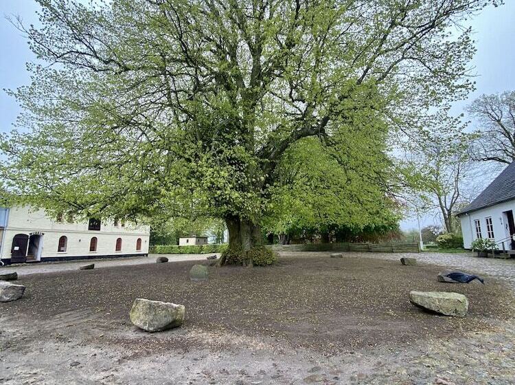 Rønhave