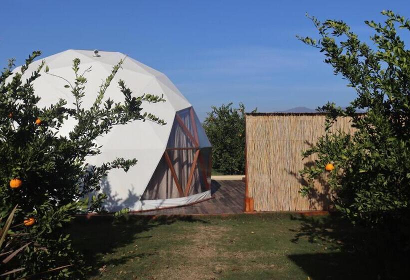 هتل Mandalin Glamping
