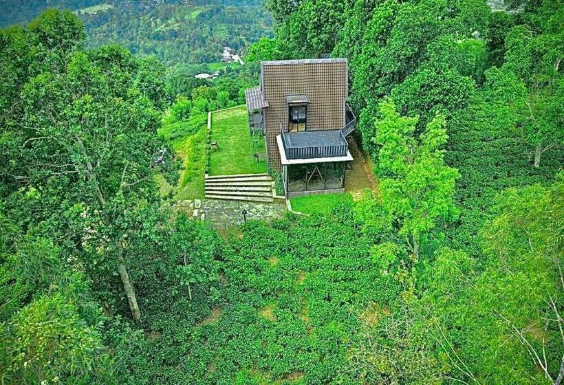 ホテル The Backyard Balangoda