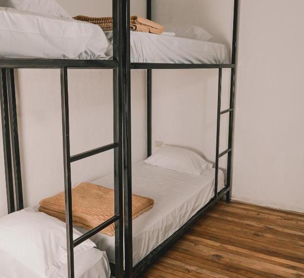 Wild Monkey Hostel