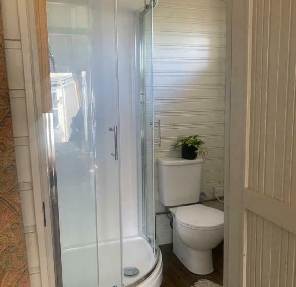 بنسيون The Cabin