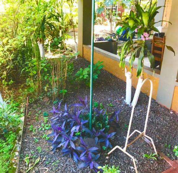 هاستل Tres Fronteras