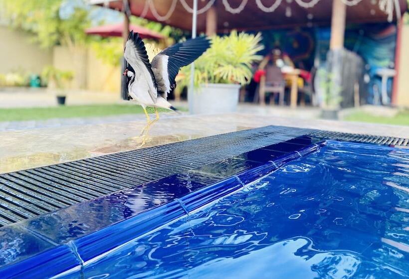 The Kingslayer Resort