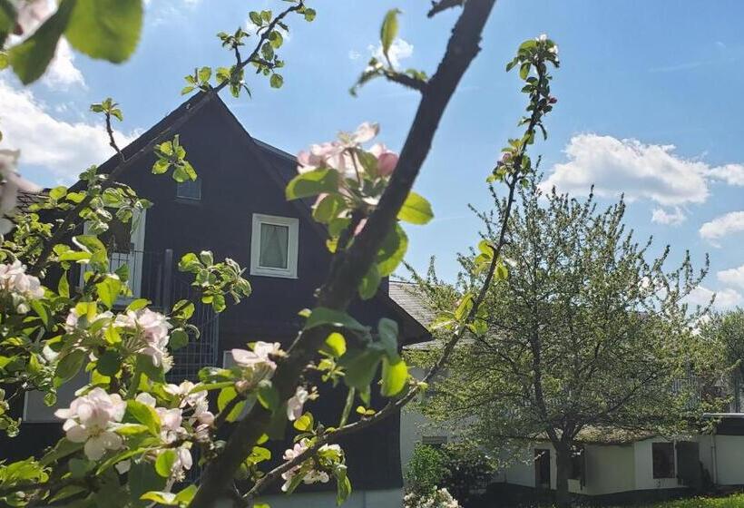 Отель Landgasthof Steuber