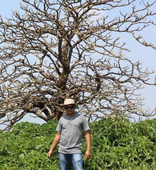 هتل Shinde S Tikona Valley Farm