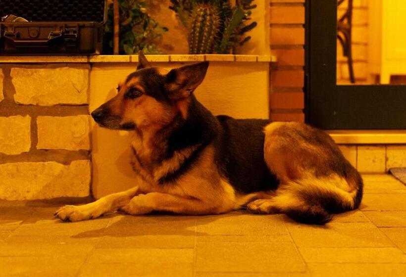 هتل Agriturismo Casa Chiara