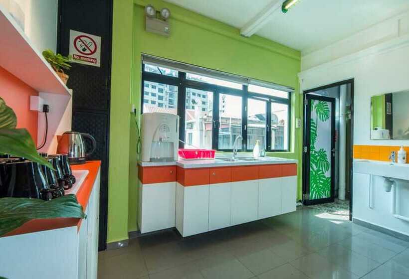 Coziee Lodge   Hostel