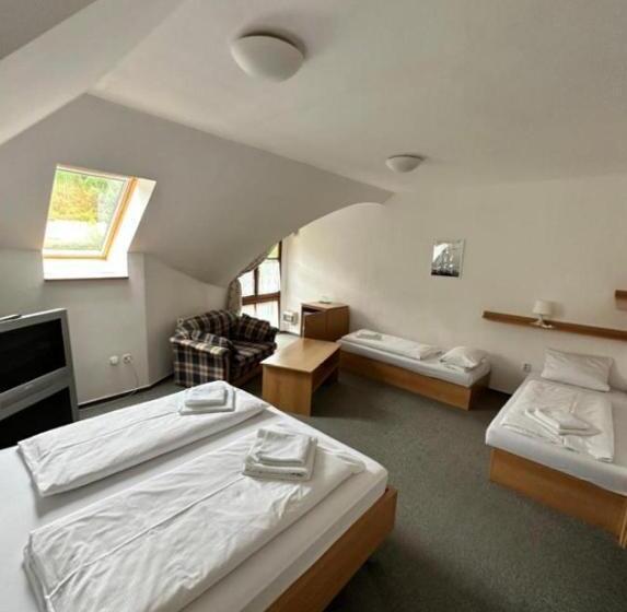 Garni Hotel Gavurky