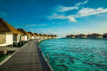 Fotos del hotel Como Maalifushi: 1 Fotos del hotel Como Maalifushi: 1