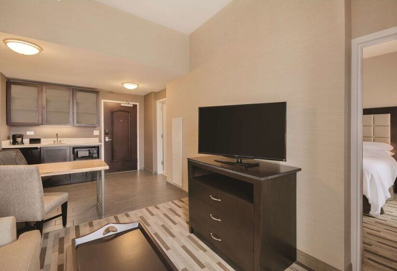 هتل Embassy Suites By Hilton Tuscaloosa Alabama Downtown