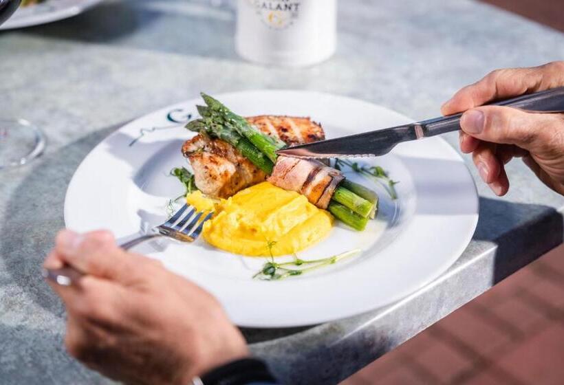 هتل Galant Mikulov