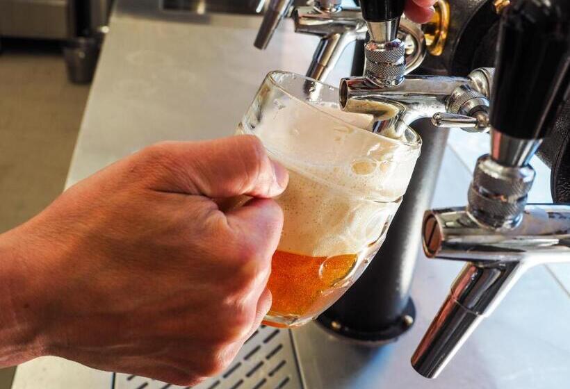 هتل Galant Mikulov