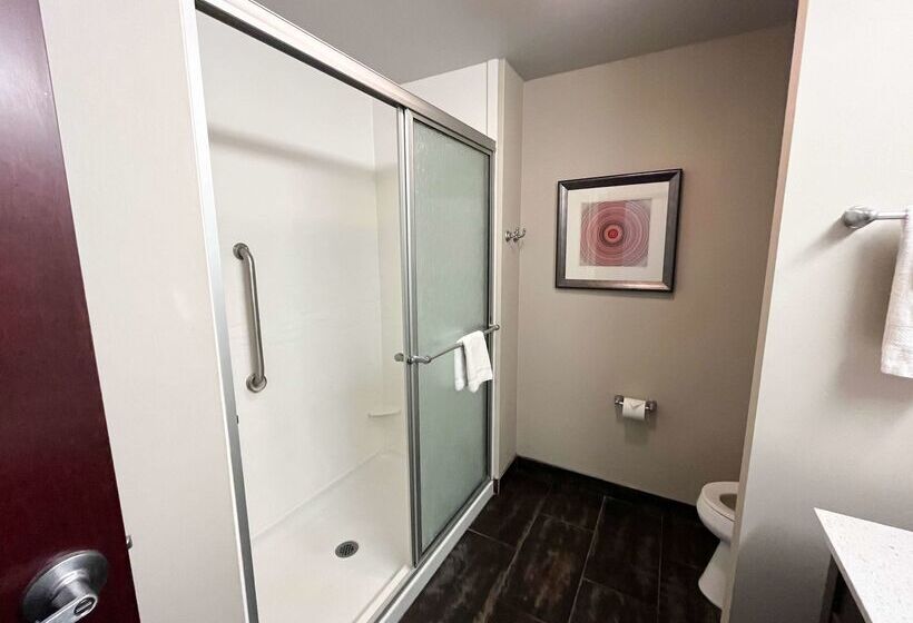 호텔 Quality Inn & Suites