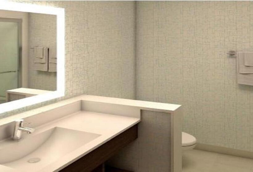 Fotos del hotel Holiday Inn Express & Suites Miami Airport East, An Ihg:  41