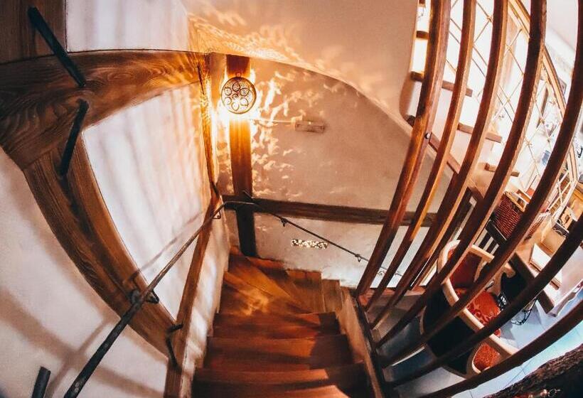 Fotos del hotel Lula:  14