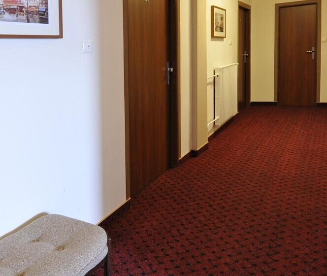 Fotos del hotel Wilhelm:  18