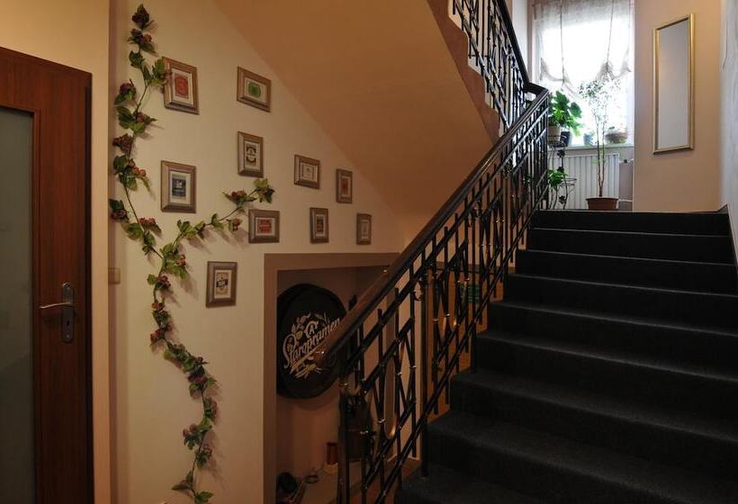 Fotos del hotel Wilhelm:  27