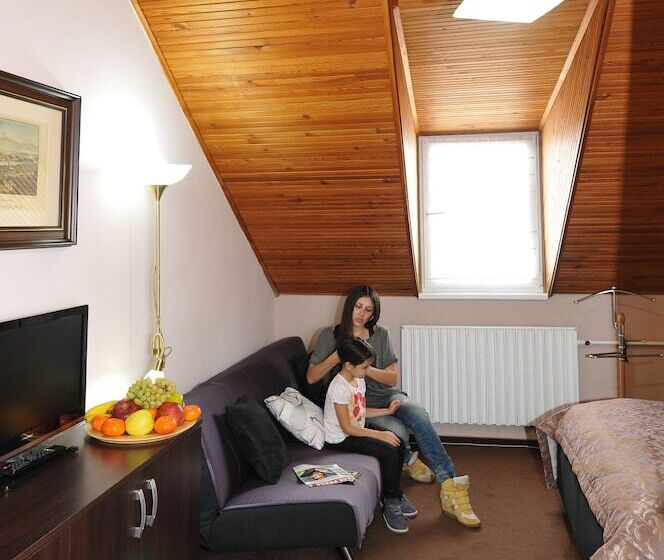 Fotos del hotel Wilhelm:  15