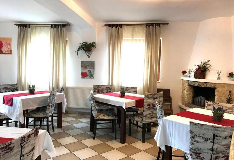 ペンション D&d Busteni