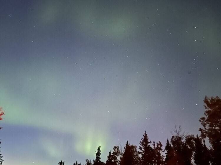 فندق Trophy Lodge Accommodations