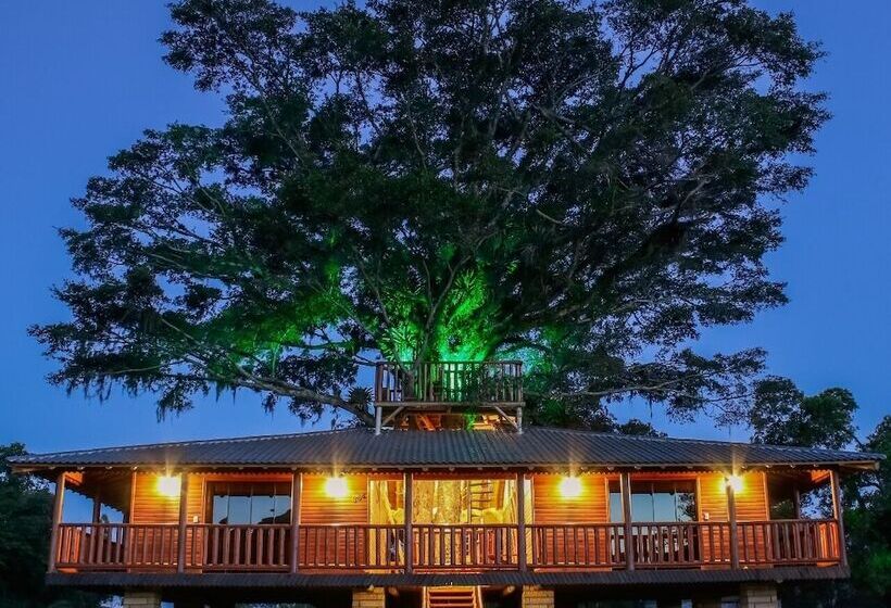 بنسيون Pousada Equilíbrio Dos Canyons