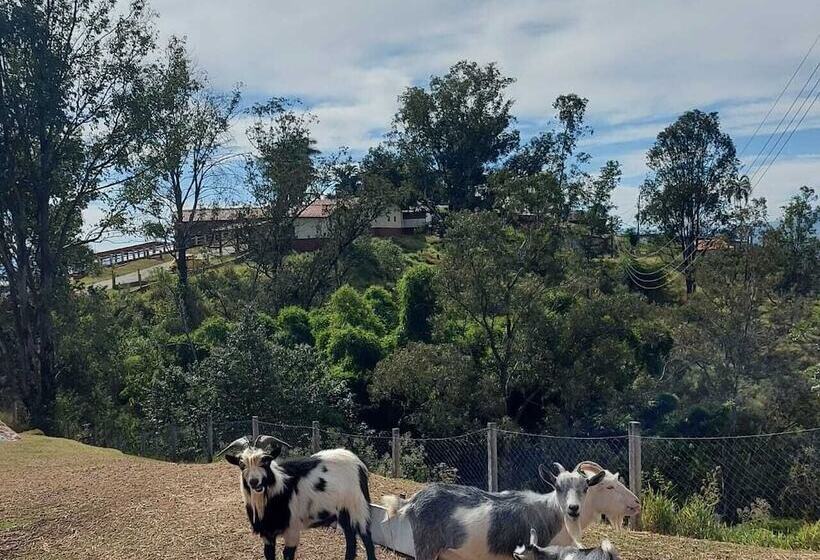 ホテル Alpes Da Fazenda