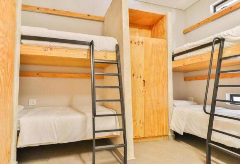 هاستل Thuto Centre Conferencing & Bush Lodge