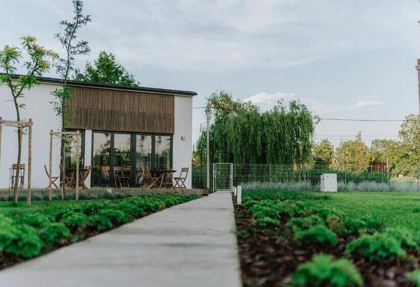 مبيت وإفطار Gyopár Lodge   Gyopárosfürdő