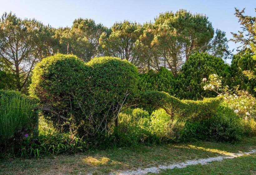 בית מלון כפרי Antico Podere Carbone