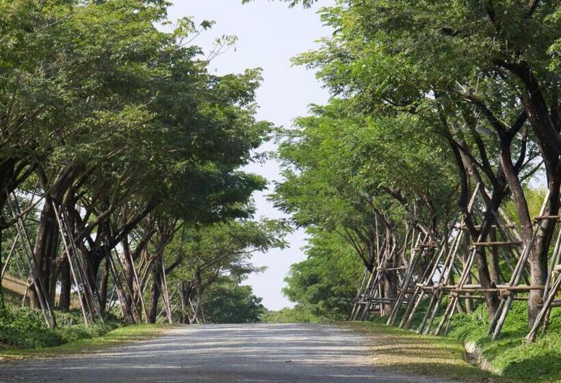 هتل Intercontinental Khao Yai Resort, An Ihg