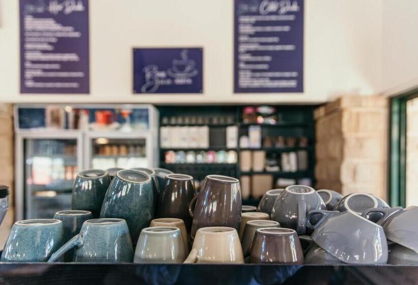 מוטל Oasis Motor Inn Blackall