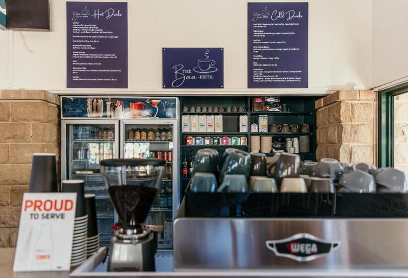 מוטל Oasis Motor Inn Blackall