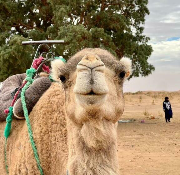 پانسیون Erg Chigaga Safari Camp