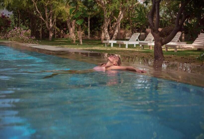 Pushkarorganic   Lux Farm Resort With Pool